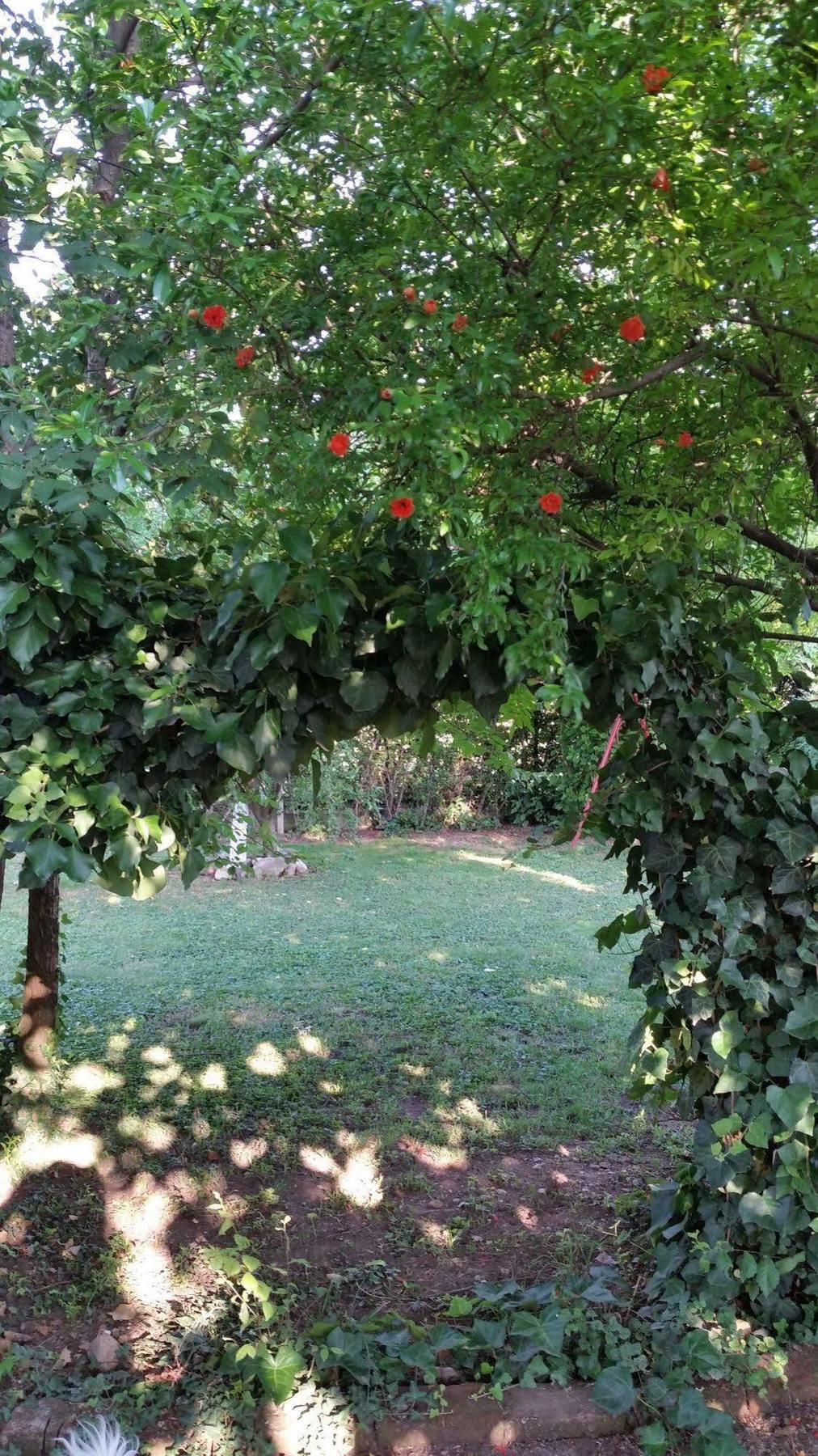 La Cascina Di Alice Bed & Breakfast Castiglione Delle Stiviere Eksteriør bilde